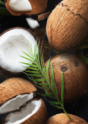 Benefits of Raw Coconut Eating