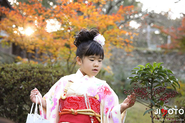 伊太祁曽神社での七五三出張撮影