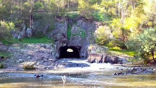 Warrandyte State Park