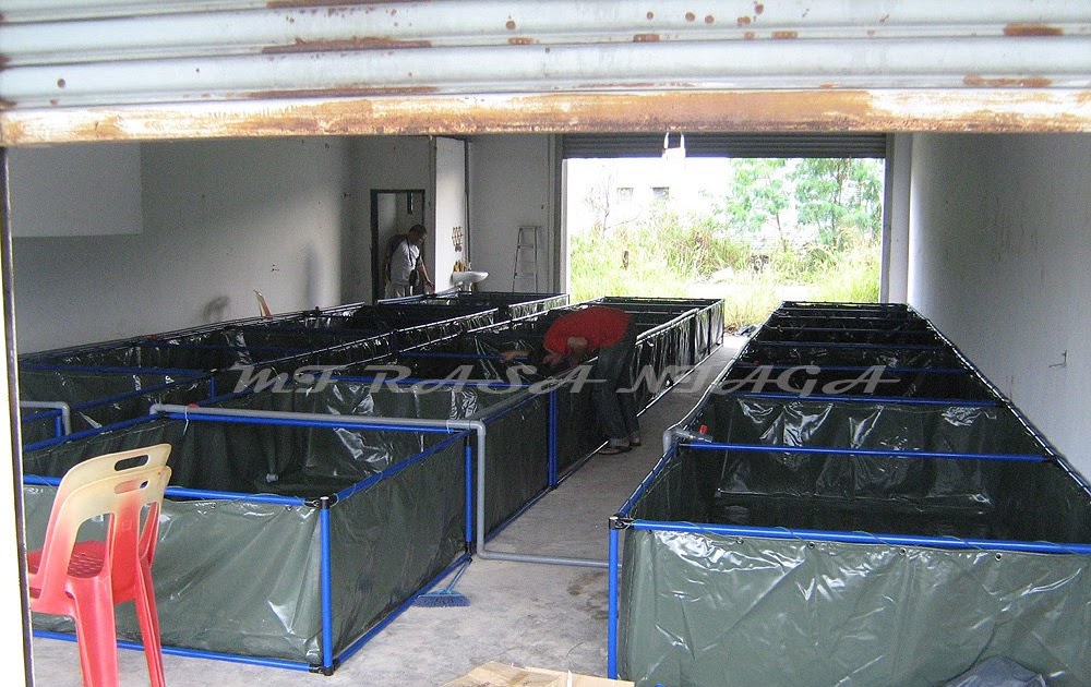MF Rasa Niaga KOLAM IKAN UNTUK DI JUAL MF Rasa Niaga KOLAM IKAN UNTUK DI JUAL