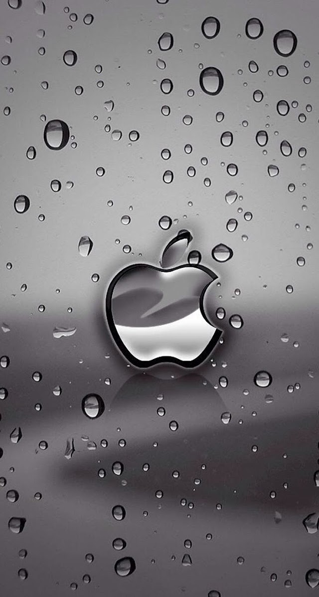  iPhone 14 Pro Max Wallpaper 