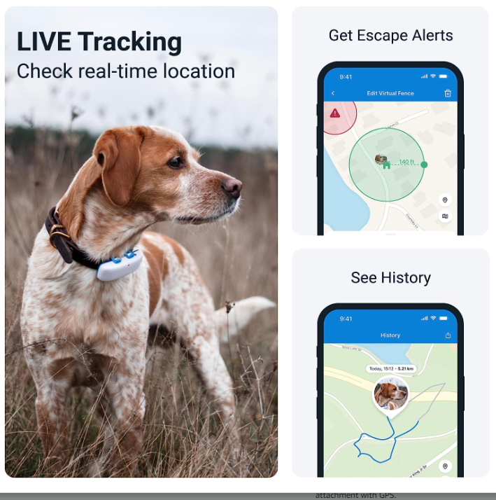 A GPS Dog Tracker for camping
