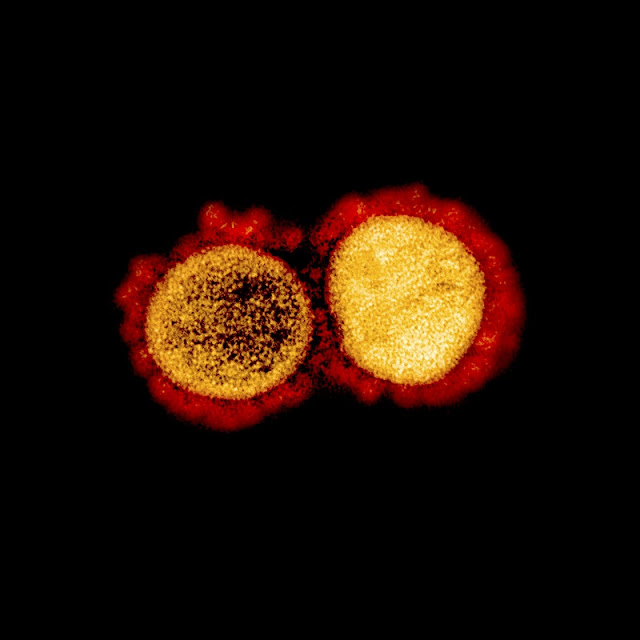 Latest Coronavirus updates in the Country