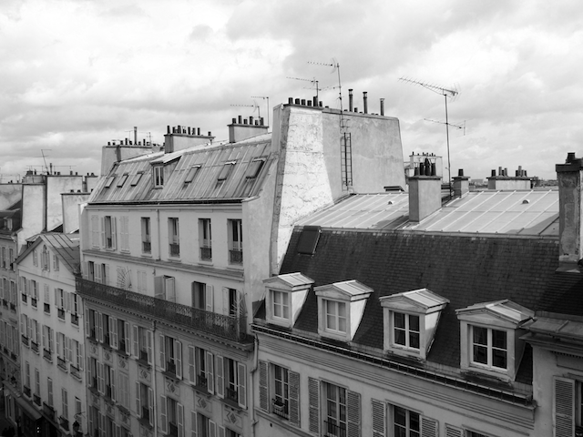 Looking at Paris in black and white highlights her differences the 