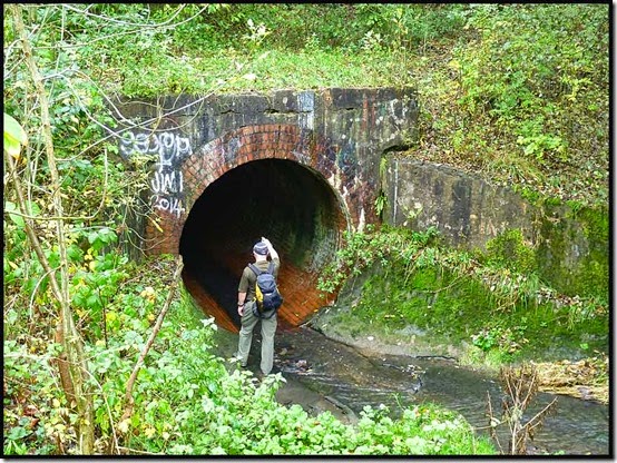 3009Culvert2