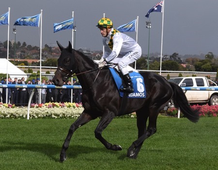cox plate_vadamos 1
