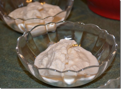 Snow Cream 013