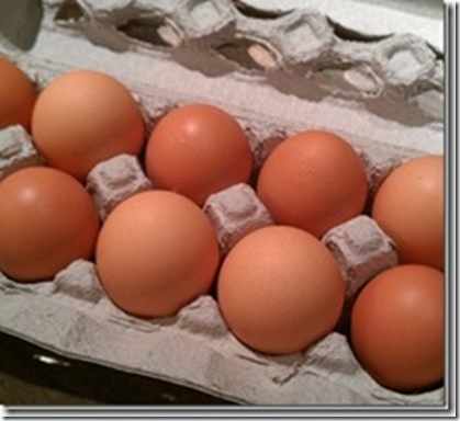 fresheggs_thumb1[2]