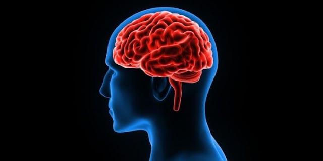El cerebro como ente sanador según la neurociencia