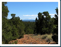 Mt. Humphrey