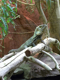 Artis Zoo Amsterdam