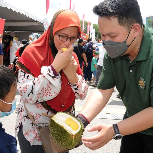 Eat All You Can Durian Festival 2023