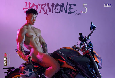 China- HORMONE 05 – Fat Tiger