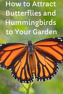 How to Attract Butterflies and Hummingbirds to Your Garden