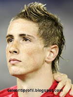 Profil Lengkap Fernando Torres