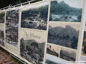 Kirstenbosch Botanical Garden