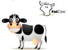 web hosting reviews of Fatcow