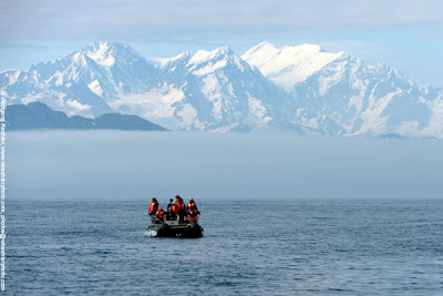 American Safari Cruises in Alaska