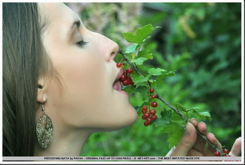 licking_the_red_balls_in_the_woods