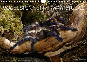 Vogelspinnen / Tarantulas (Wandkalender 2014 DIN A4 quer): Vogelspinnen (Monatskalender, 14 Seiten)