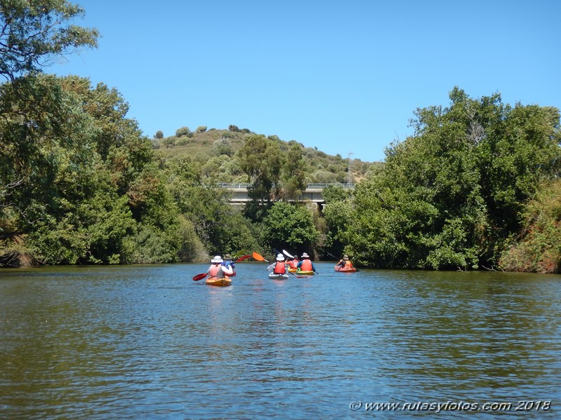 Kayak río Palmones