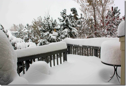 snow2