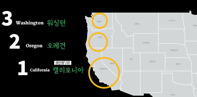 [와인이야기] 미국 와인의 주요 산지, 미국 와인 포도 품종, 미국 와인 이해하기