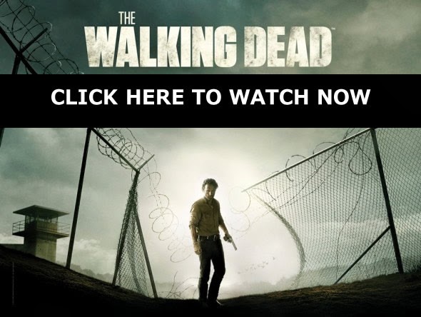 http://tvunrated.blogspot.com/p/watch-walking-dead-season-4-episode-16.html