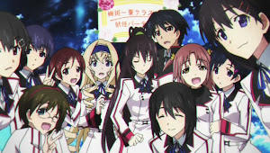 Infinite Stratos, IS Harem