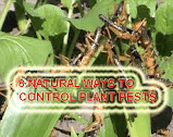 "control plant pests"