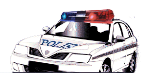 police-car
