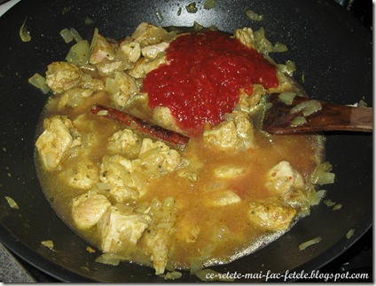Pui indian Korma - adaugam apa si bulion