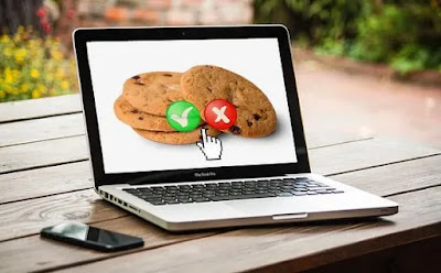 What are cookies and how do you avoid their threat to your privacy?