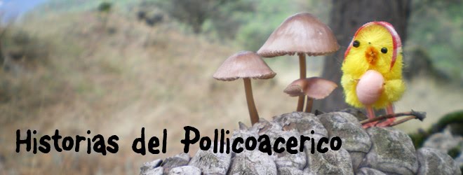 historias del pollicoacerico