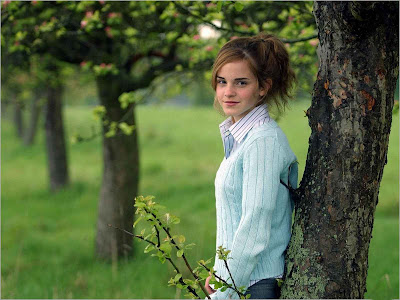 Emma Watson Normal Resolution HD Wallpaper 5