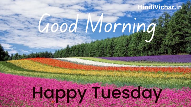 Tuesday Good Morning Imahes