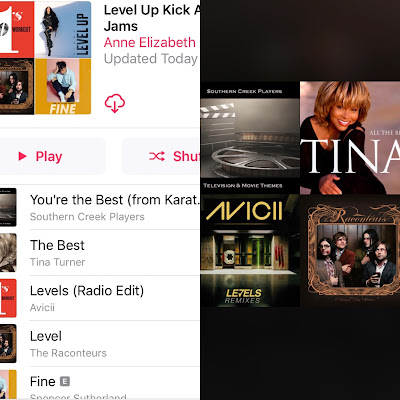 Level Up Kick Ass Jams Playlist on AppleMusic and Spotify