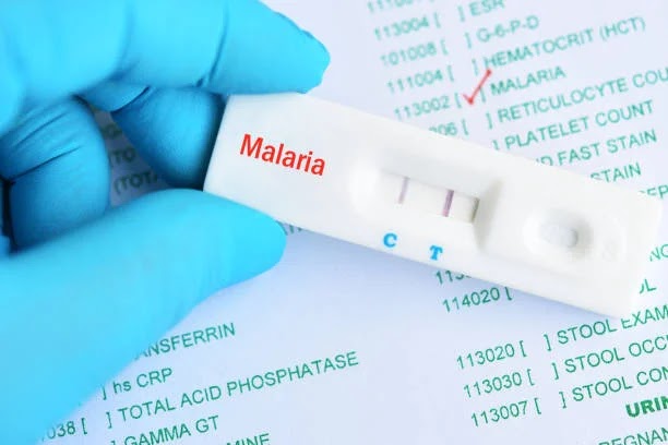 Malaria: A Comprehensive Guide to Understanding & Combating the Disease
