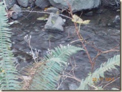 DSCN1557