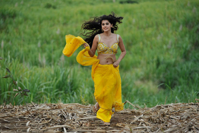 tapsee new spicy saree in mogudu unseen pics