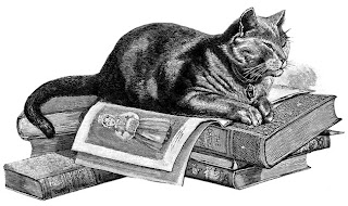 drawing of cat lying atop short stack of old books