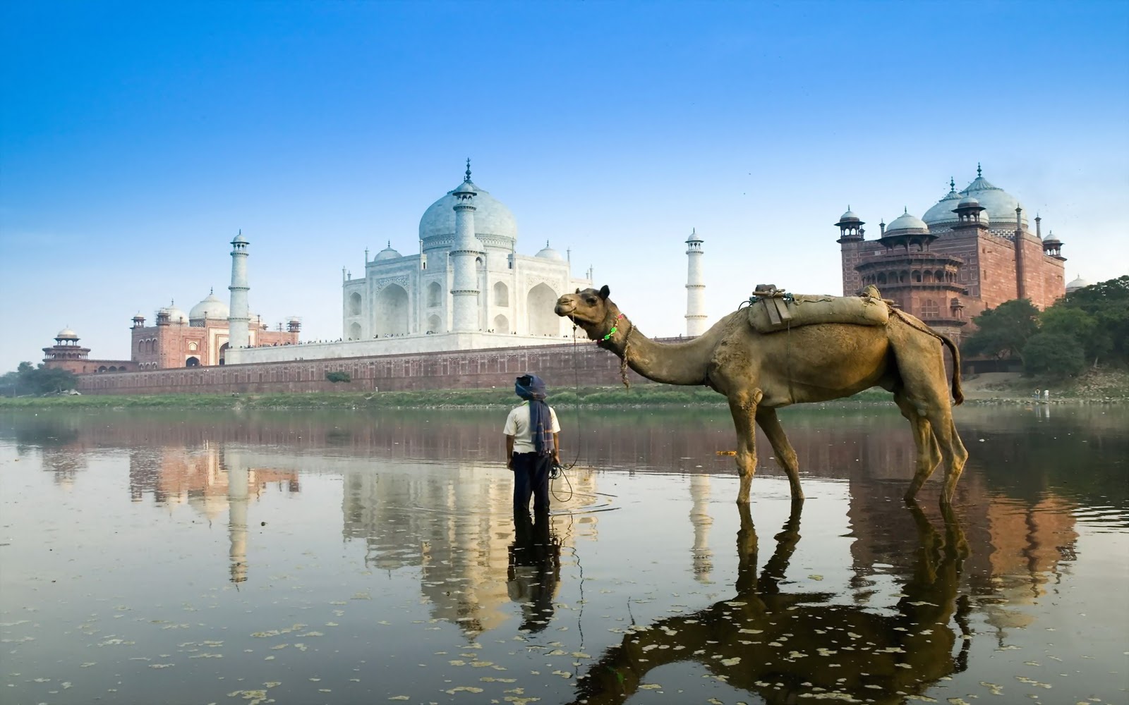 Heavenly Indian Landscape