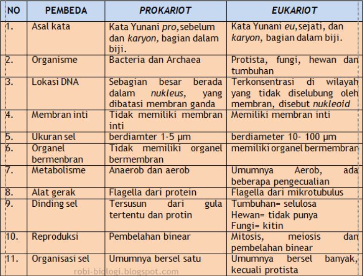 Jelaskan perbedaan antara sel prokariotik dengan sel 