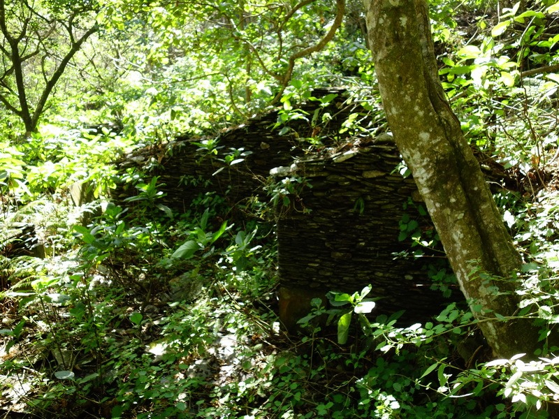 2014_0101-0105 萬山神石、萬山岩雕順訪萬頭蘭山_0085