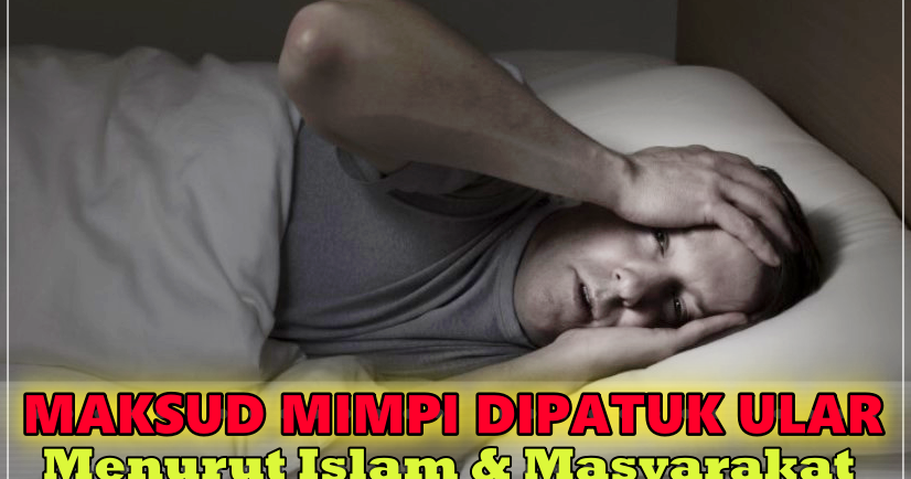 Mimpi Dipatuk Ular Menurut Islam Maksud Baik Ke Buruk Ni