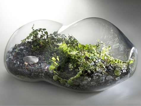 Terrariums