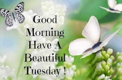 good morning Tuesday god bless you images