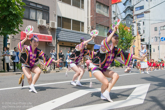 飛鳥連、女法被、マロニエ祭りの写真 その8