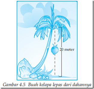 Gambar contoh energi mekanik, kelapa lepas / jatuh dari dahannya