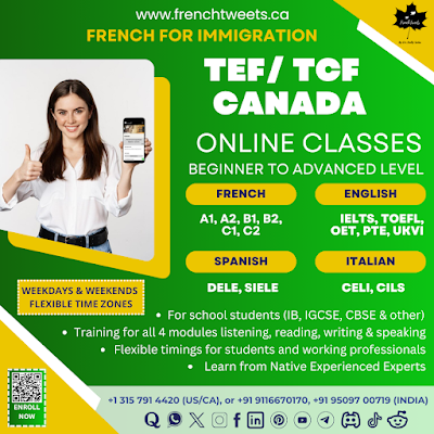 online French learning